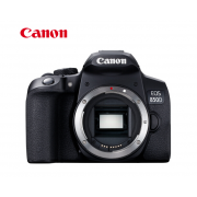 佳能（Canon）EOS 850D 单反相机 照相机 单机身（约2410万像素/轻松体验单反）