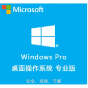 微软/Microsoft Windows 11 Professional License Upgrade 桌面操作系统 教育版 专业版
