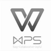 办公套件 金山/WPS WPS Office 2019 专业版