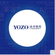 办公套件 永中/YOZO 永中 OFD 版式软件 V3.0 标准版